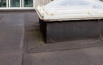 disadvantages of Rhosson flat roofs